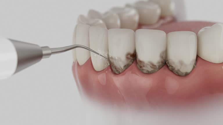 Reliable Dental contractor in Manvel, TX by Dentist Open Now